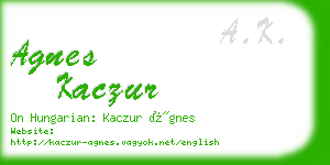 agnes kaczur business card